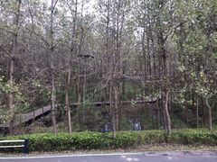 -合肥滨湖国家森林公园