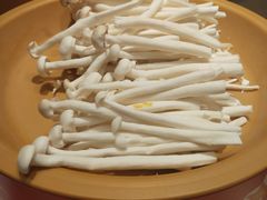 -龍歌自助小火锅(城阳万象汇店)