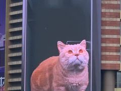 -正大广场