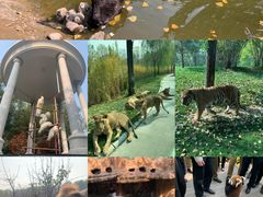 -北京野生动物园