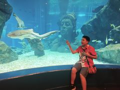 -暹罗海洋世界