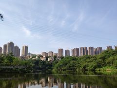 -重庆彩云湖湿地公园