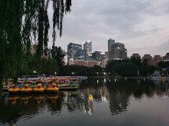 -团结湖公园