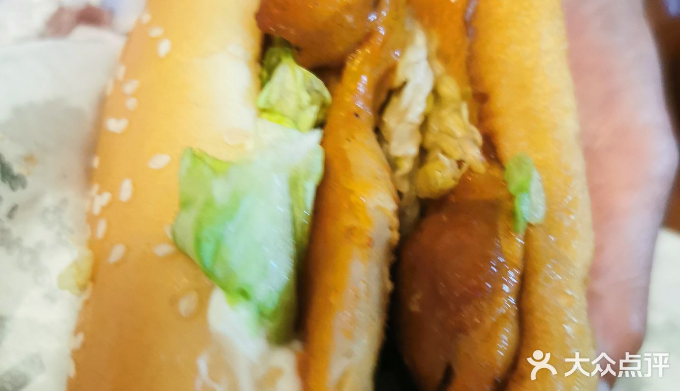 到底在哪里有可达鸭！肉堡也太大了吧