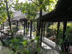 -金庸书院