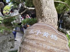 -个园
