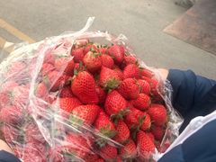-西郊国际农产品交易中心