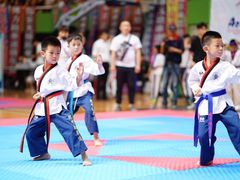 -陈中跆拳道(中关村馆)