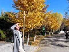 -长白岛森林公园