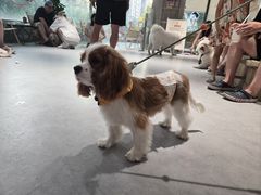 -瑞虹新天地月亮湾