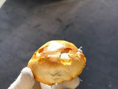 -老白家烧饼烤包子(清真寺店)