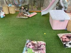 -辛玛王国游乐园