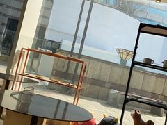 -柴务处·柴犬主题狗咖