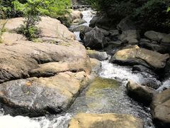 -广州白江湖森林公园