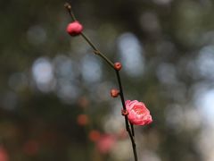 -西安曲江寒窑遗址公园