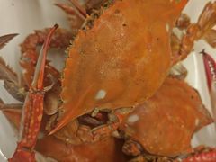 -禾斗海鲜自助(市南银座店)