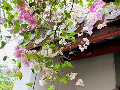 -深圳国际园林花卉博览园