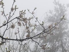 -陕西省红河谷森林公园