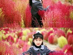 -天津东丽湖风景区