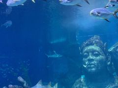 -暹罗海洋世界
