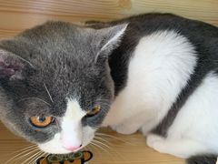 -百信宠物医院(东升街店)