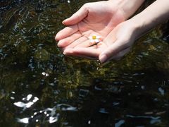 -志闽龙门漂流
