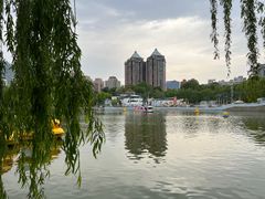 -团结湖公园