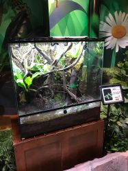 -酷嗒动物文化乐园(cutezoo西溪乐天城店)