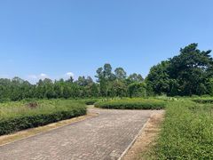 -南沙蒲洲花园