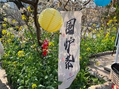 -桃源山庄·水蜜桃采摘·柴火鸡·烧烤团建(龙泉山店)