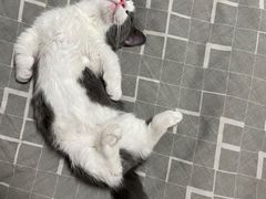 -枝魯枝魯自助料理