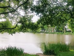 -西湖外事游船(花港观鱼码头)