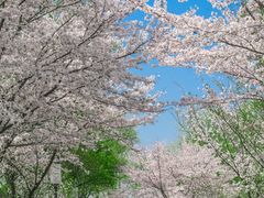 -尚湖风景区