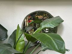 -老渔家鲜鱼轩(南浦横街店)