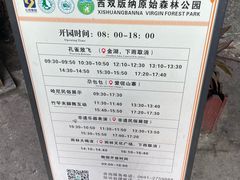 -西双版纳原始森林公园