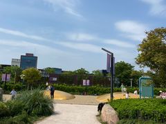-季高兔窝窝亲子园(上海薰衣草公园店)