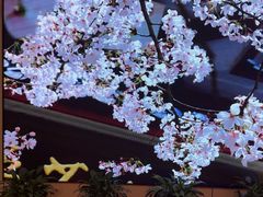 -城北食府(枫林店)