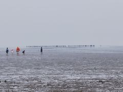 -南汇嘴观海公园