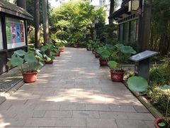 -上海醉白池公园