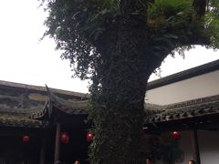 -星巴克(福州三坊七巷店)