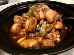 -唐阁海景中餐厅·早茶·粤菜•生日聚餐(海口朗廷酒店)