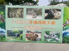 -大连森林动物园