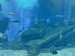 -福州罗源湾海洋世界旅游区