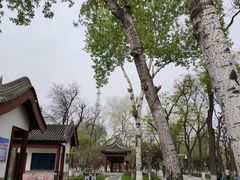 -莲湖公园