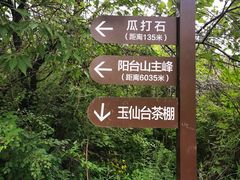 -阳台山自然风景区