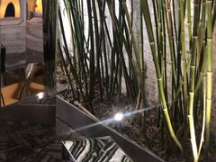 -筑艺咖啡