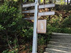 -庐山风景区花径公园