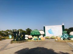 -上海都市菜园