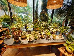 -自由生长植物工作室(深港花卉中心店)