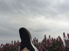 -南京夫子庙国际青年旅舍(平江府路店)